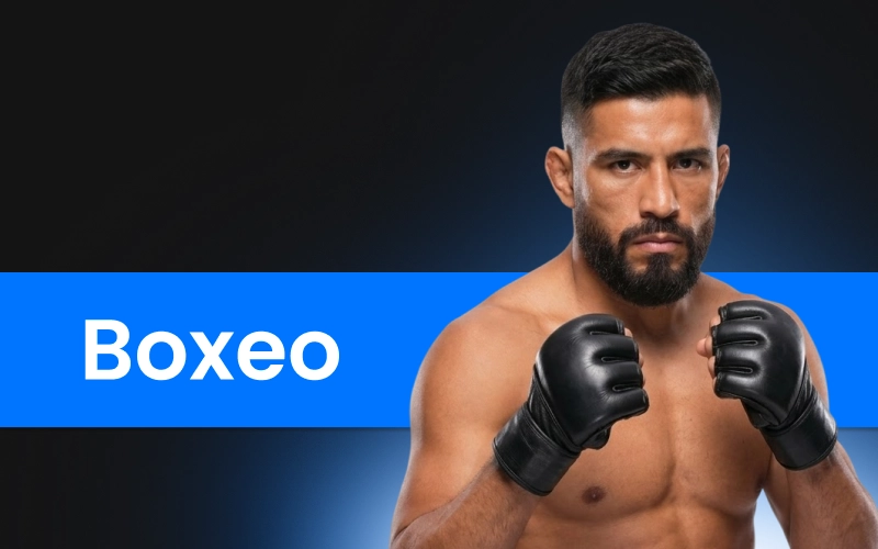 Analiza combates de boxeo y UFC en 1win y apuesta en resultados como KO o decisión.